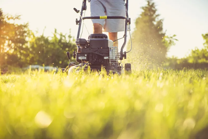 Lawn mowing worker mowing in warm evening light